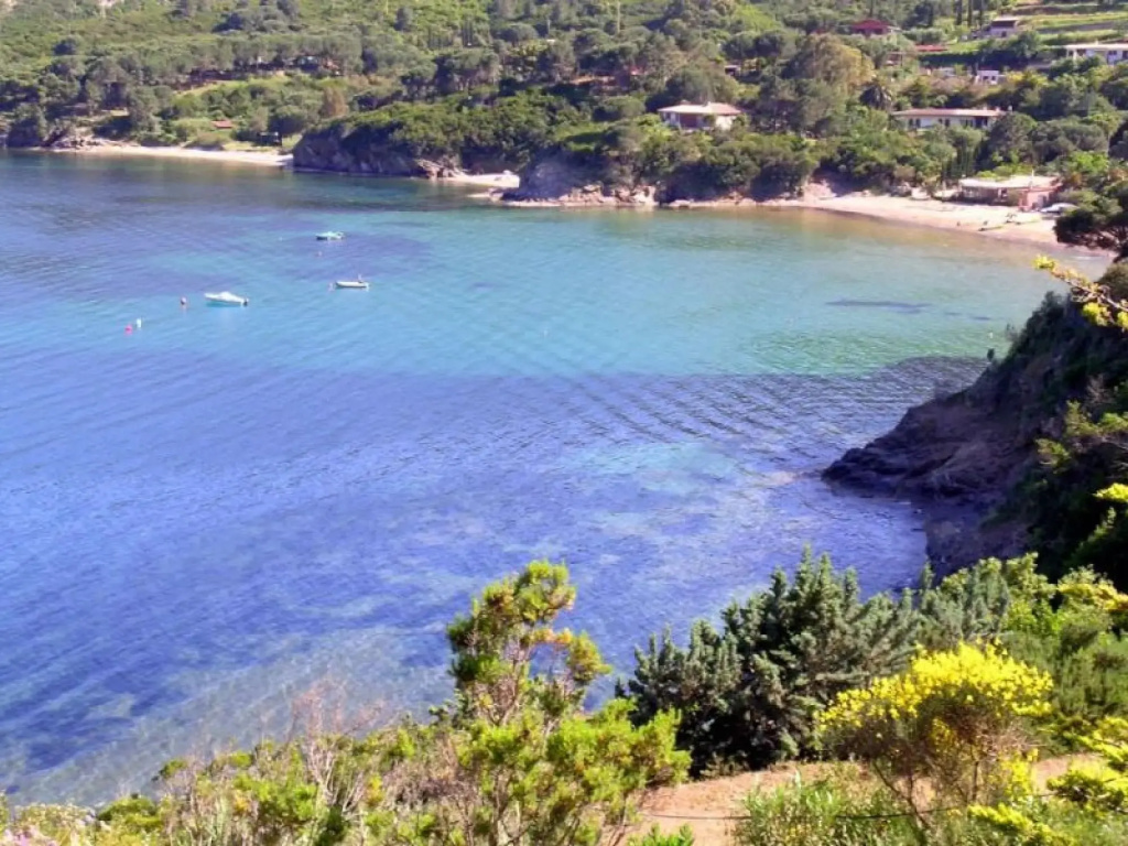 Four Family House - Tree Rooms apt. 5/7 ps.; 250-300 to the sea (sandy beach)-SERENA D