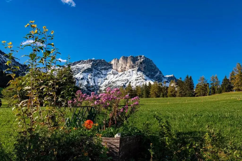 Bauernhof am Fuße des Untersbergs Vorderstiedler
