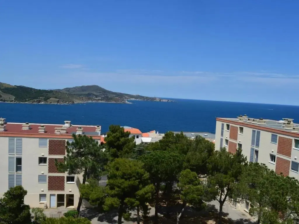 Appartement Banyuls-sur-Mer, 2 pièces, 4 personnes - FR-1-225C-442