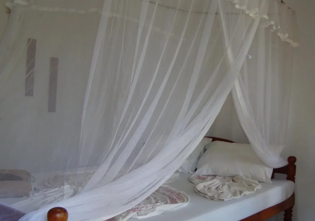 Black Beauty Guesthouse