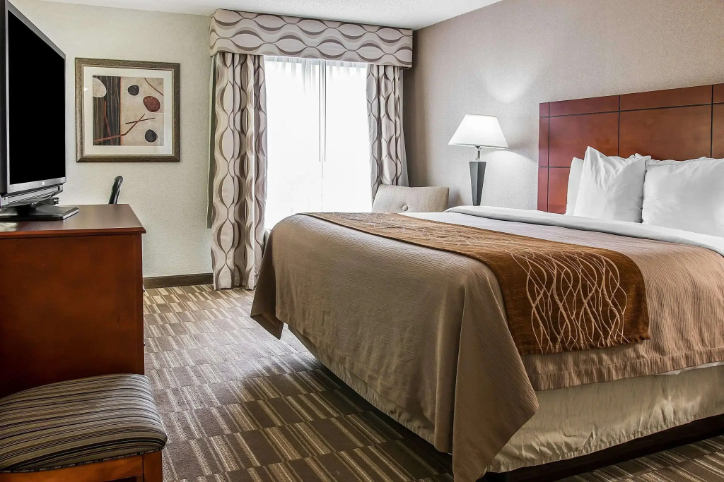 Spark By Hilton Ann Arbor South