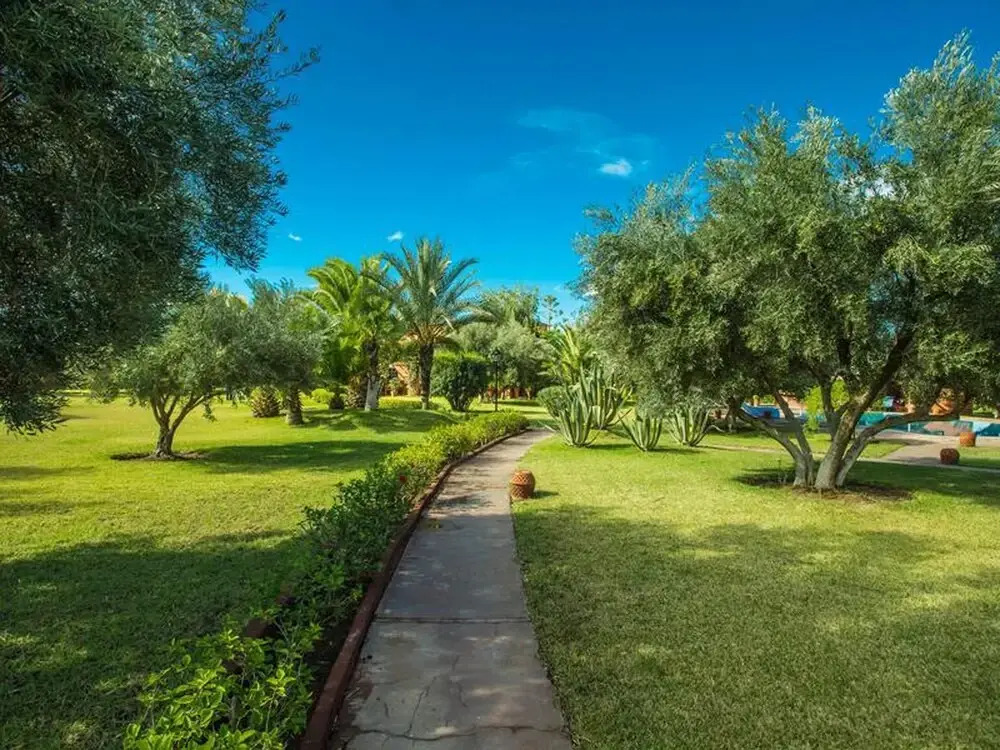 Villa les Oliviers 2 Bedrooms - A Setting of Tranquility