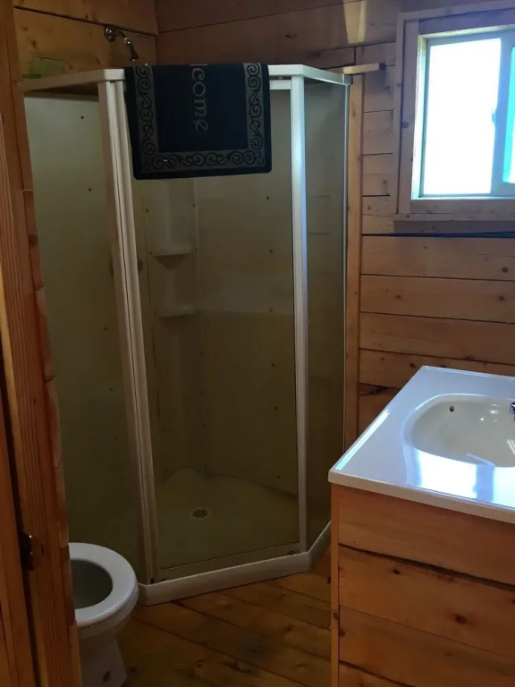 Ninilchik132.6 cabins and Rv park