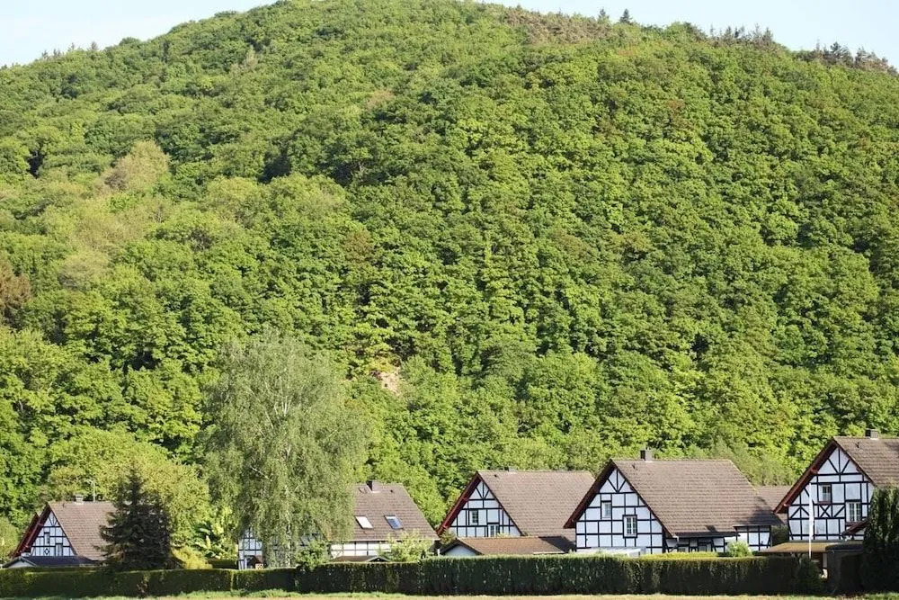 Bos en Kasteel