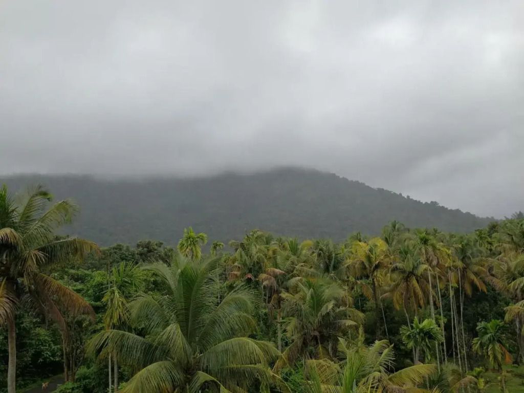 The Anchorage Athirapilly Resort