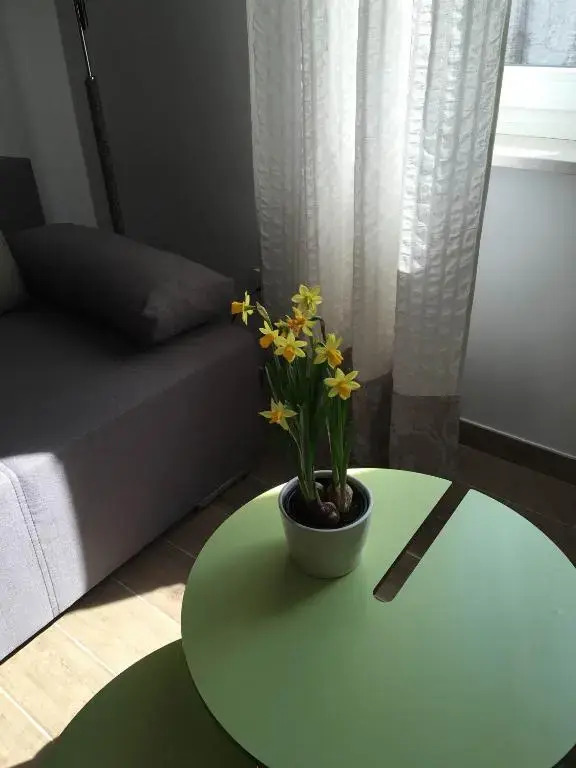 Regina Apartment