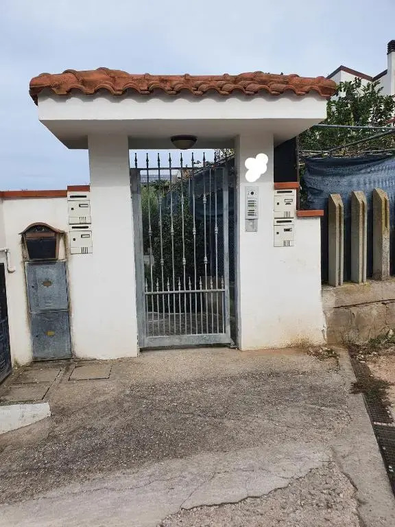 Casa dell'ape Maia