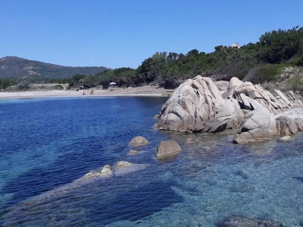 IL MARE DI OLBIA Holyday Apartment