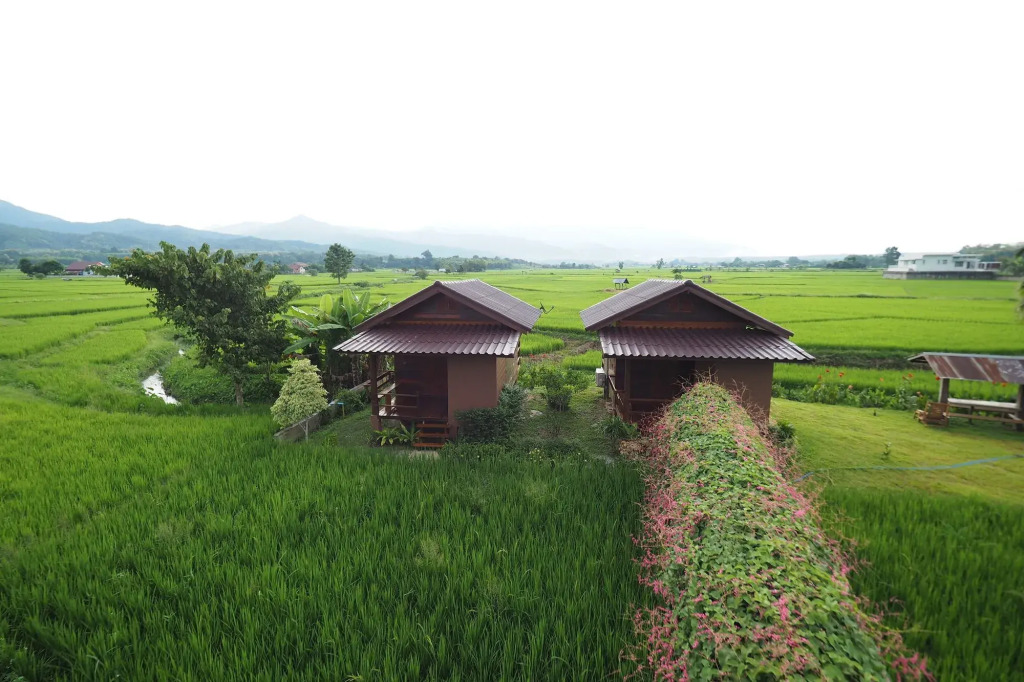 Pang Chompu