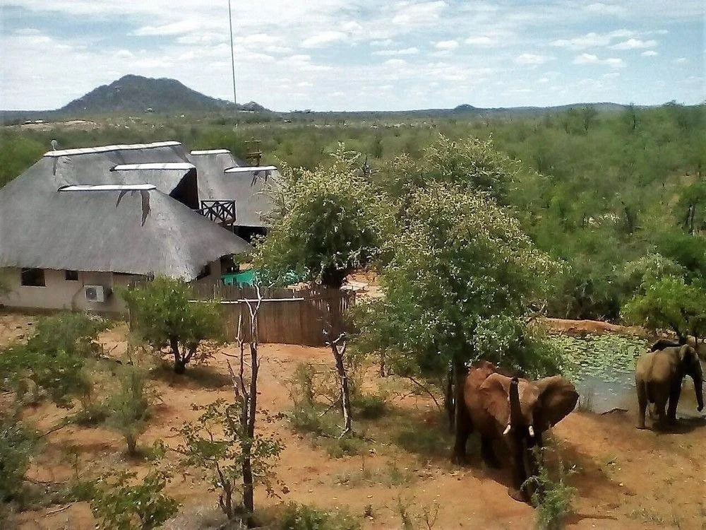 Lions Place