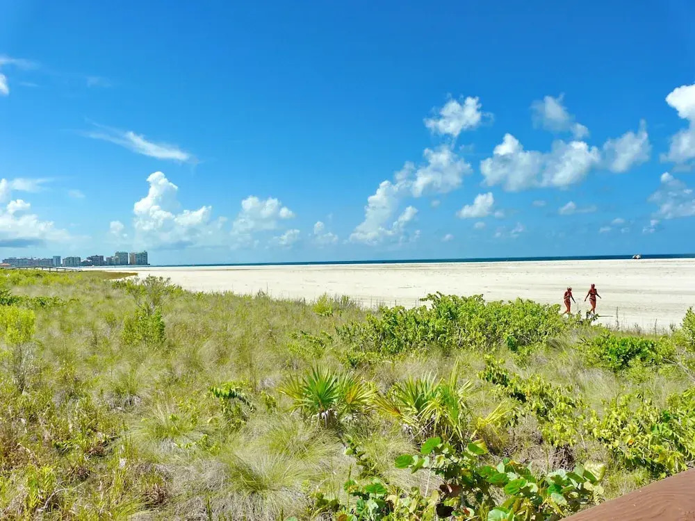 South Seas Tower 1-307