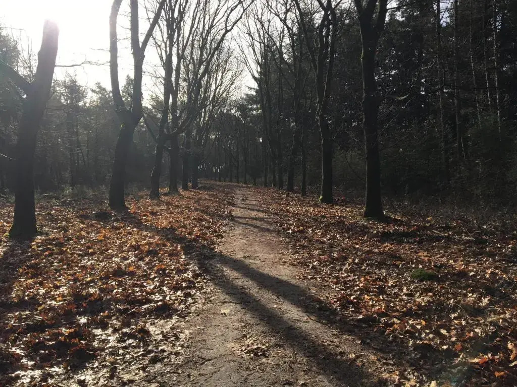 WijkD