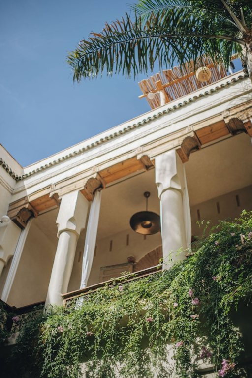 Nobu Riad