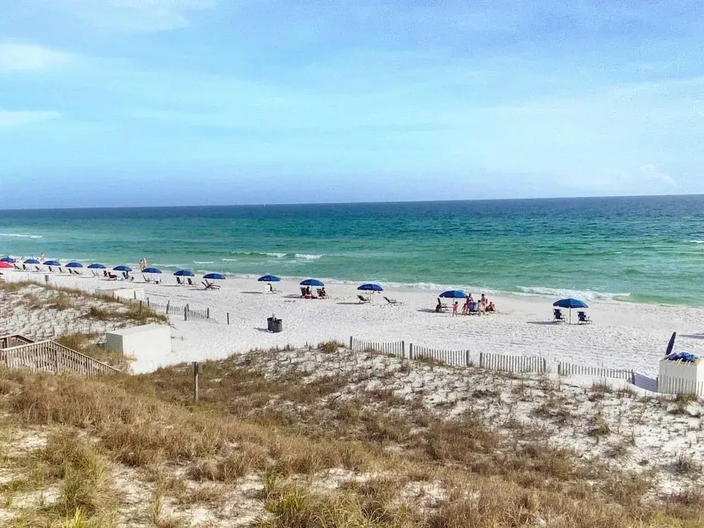 Dunes of Crystal Beach 102 by Newman-Dailey