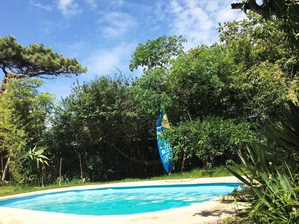 Negrita Hostel