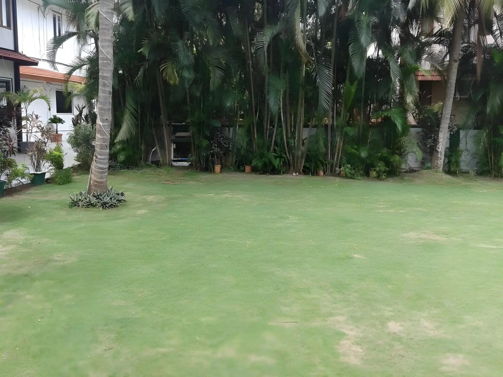 Sea Mist Resort