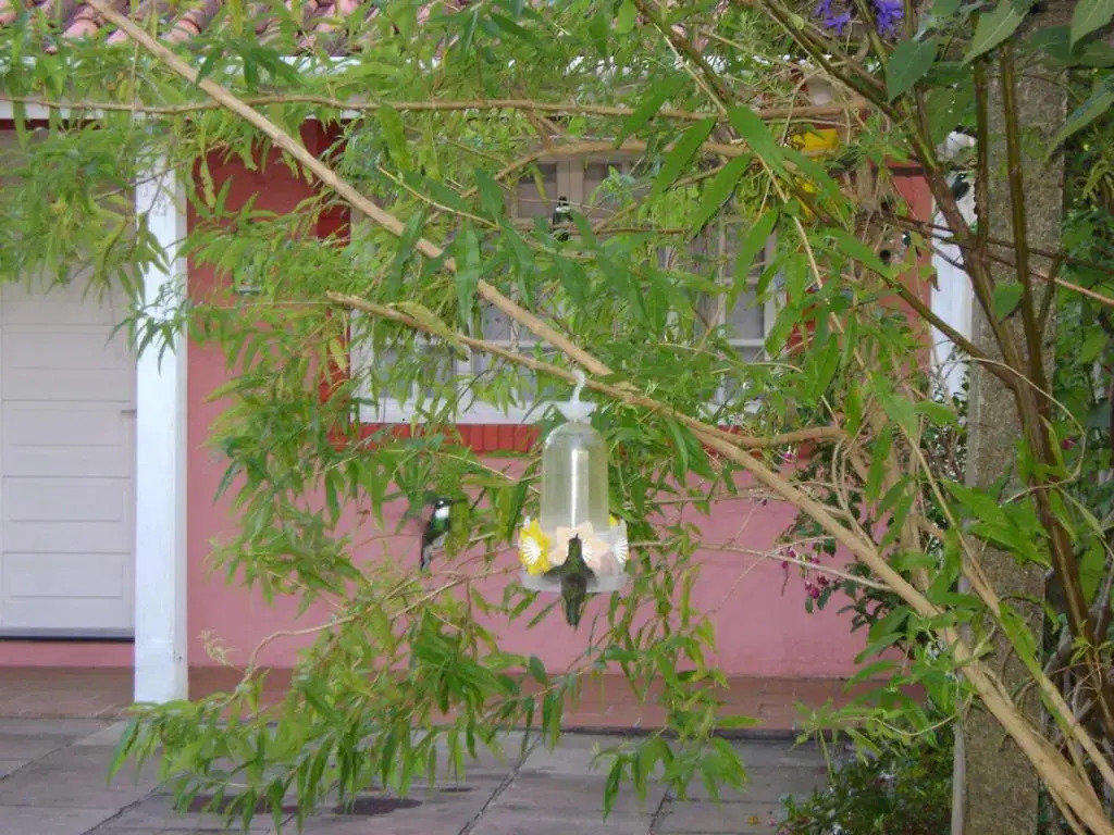 Pousada Beija Flor Gramado