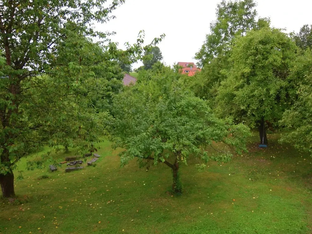 Luxurious Holiday Home in Perlesreut Near Forest