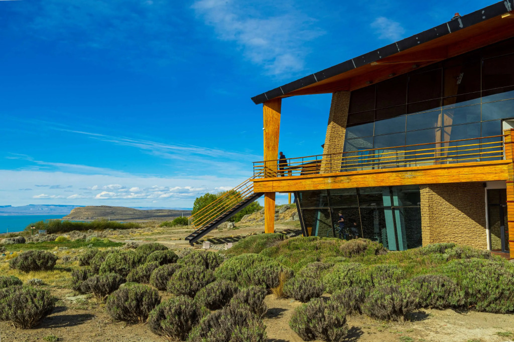 Design Suites Calafate