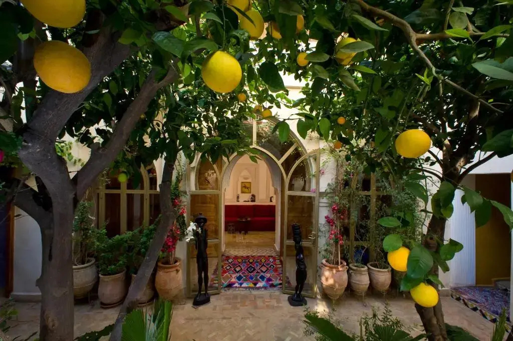 Riad Jnane dÔ