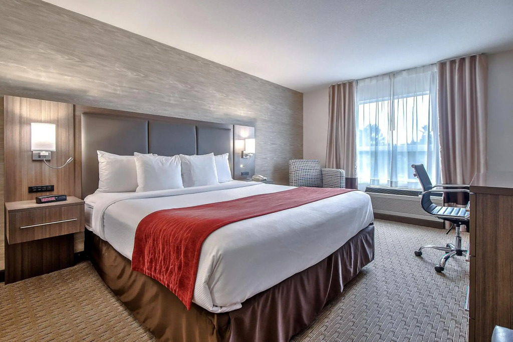 Comfort Inn & Suites South