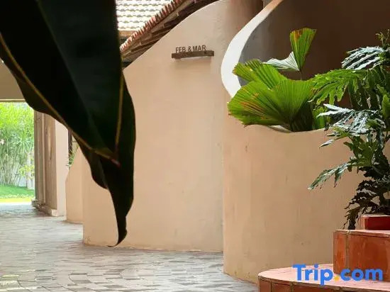 MOONLIGHT Homestay & Hotel