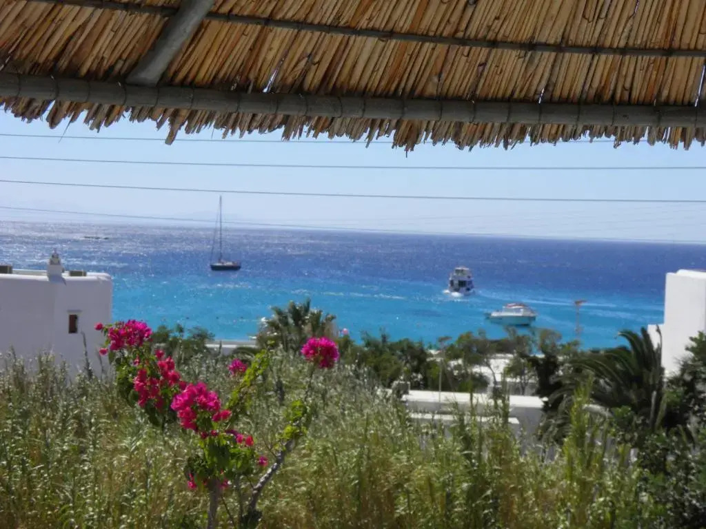 Pelagos Studios