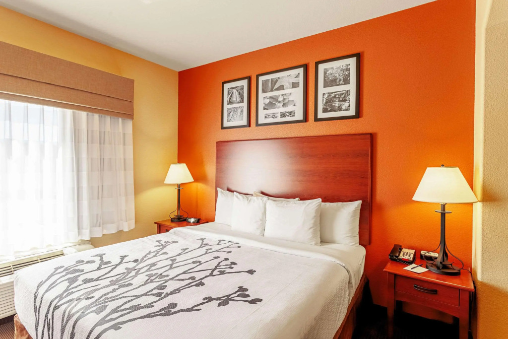 Sleep Inn & Suites Tyler South
