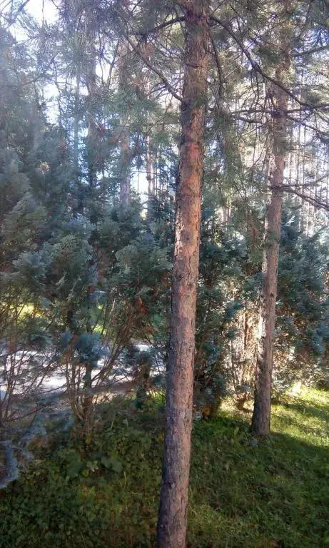 Apartment 9 Gorska Vila