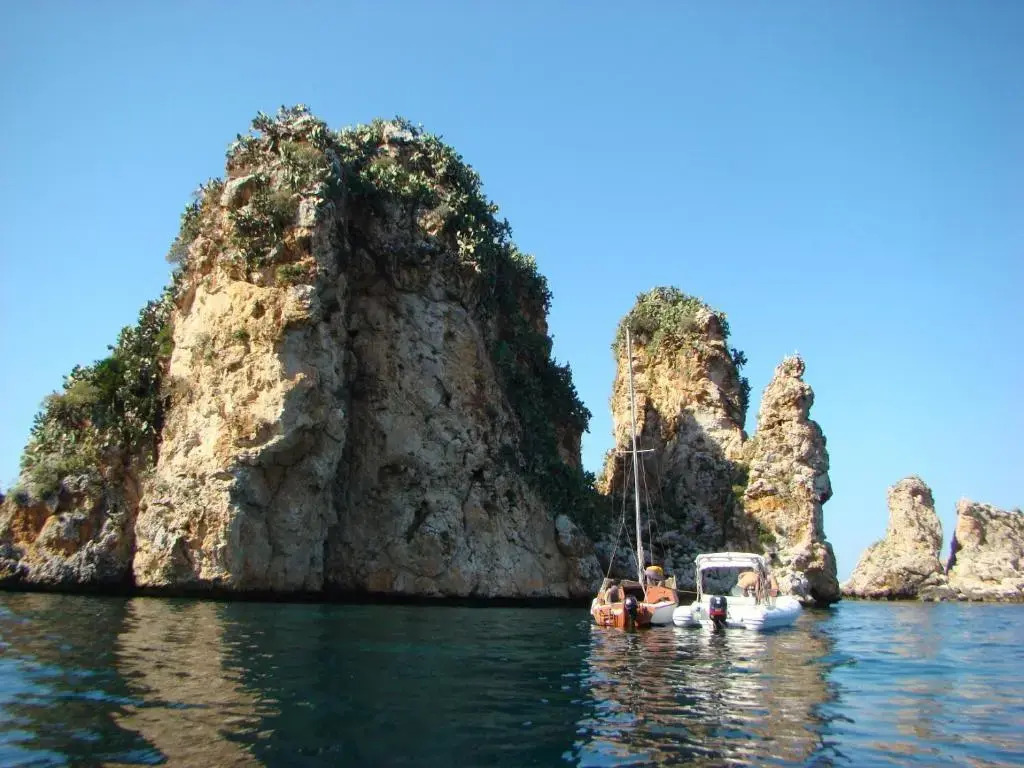 Casetta sull'Albero, Girasole