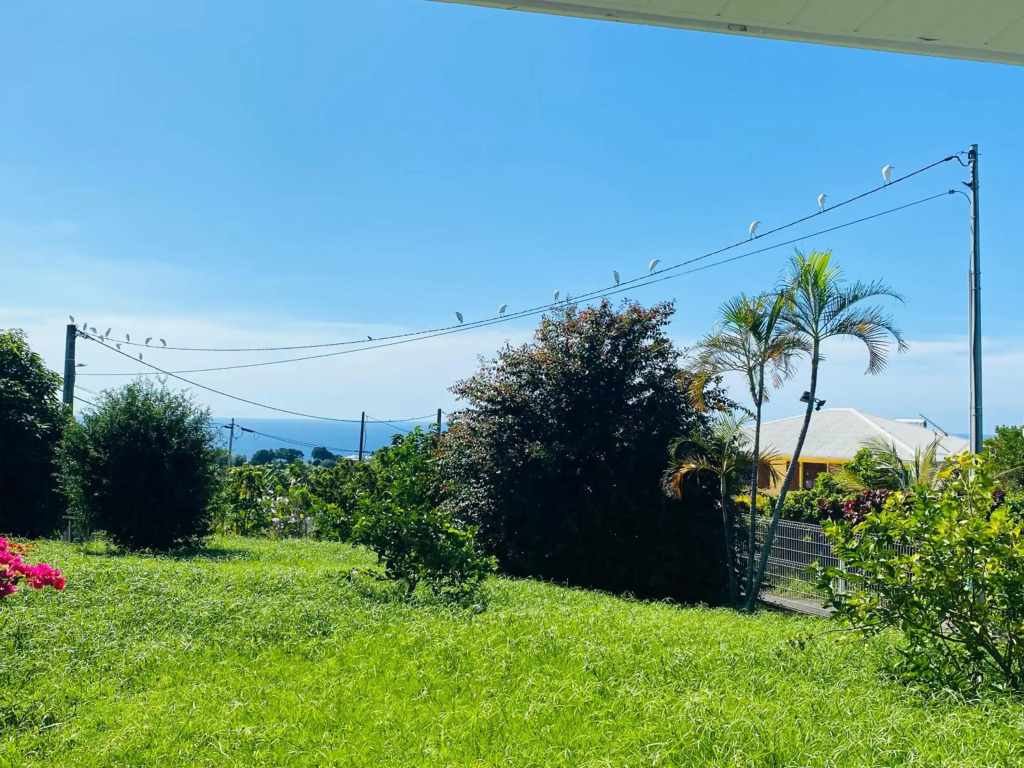 Villa Créole vue panoramique