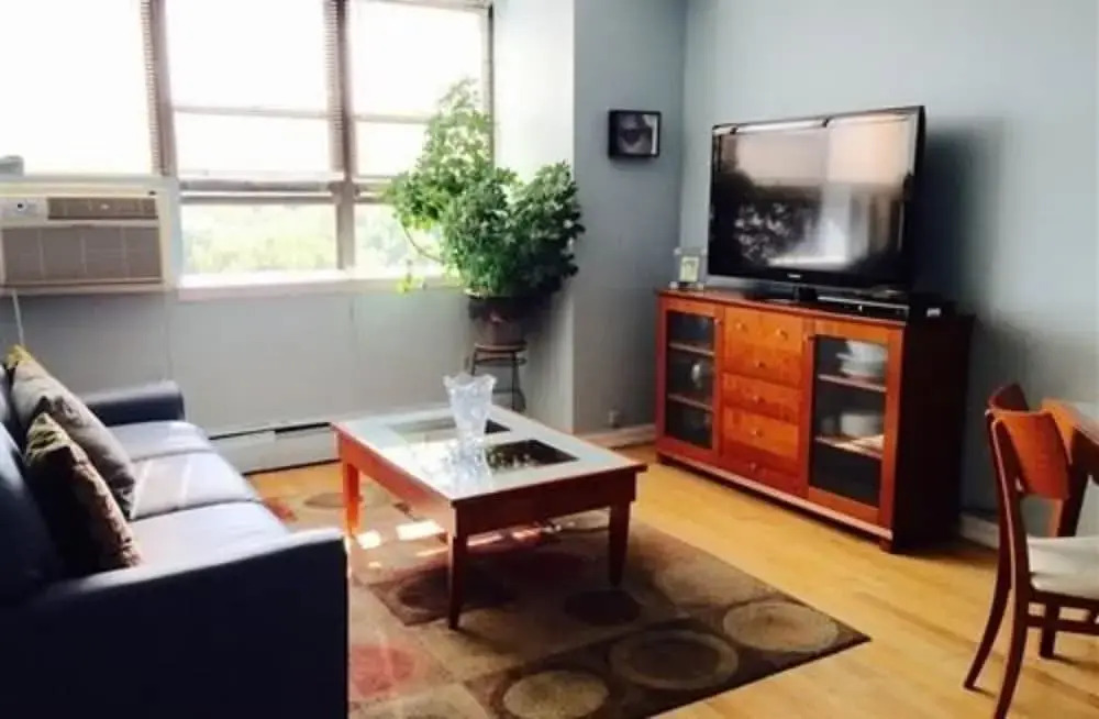 Central Park View Apartment