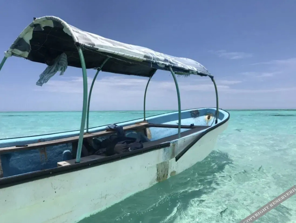 Moja Private Beachfront Suite, Amani Home Zanzibar