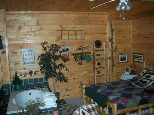 Mountain Shadow Resort