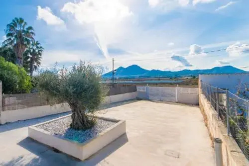 Ideal Property Mallorca - Can Micalo