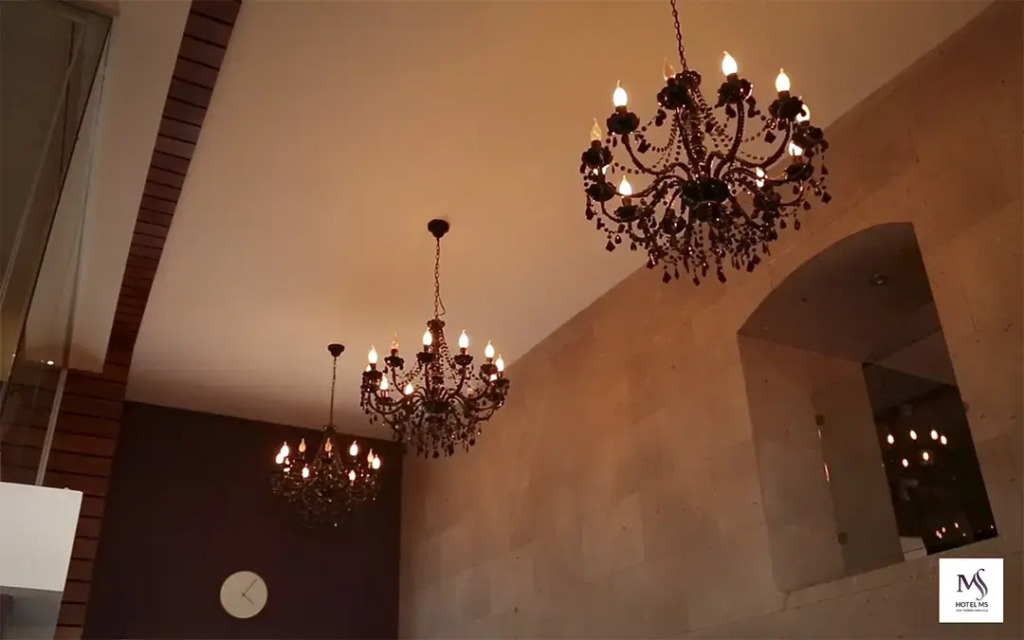 Hotel MS
