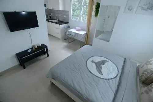 Olga Beach Apartment 28