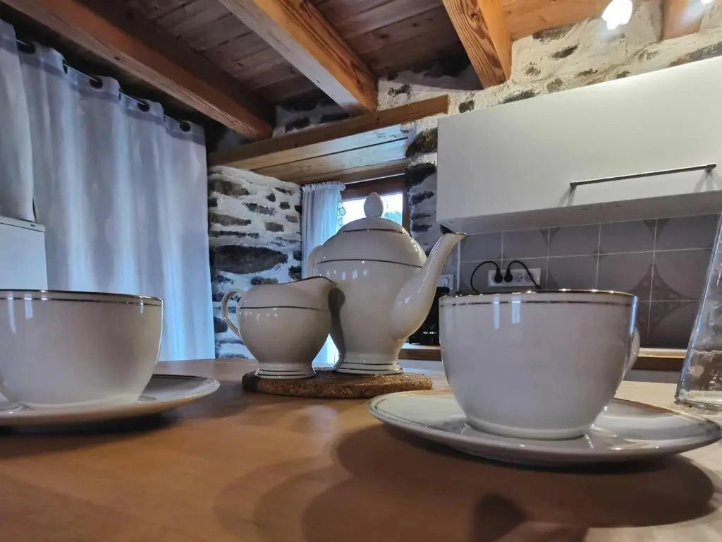 Charmante maison dans les gorges de la Loire avec terrasses et poêle à bois - FR-1-582-319