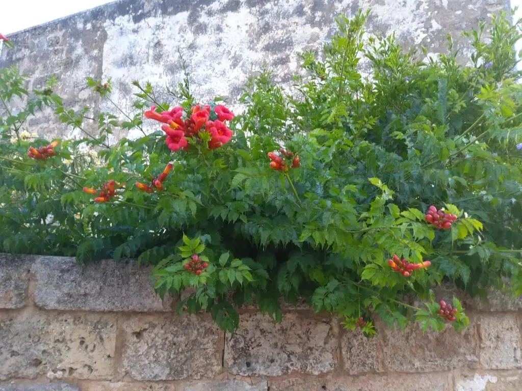 Casetta vacanza in campagna