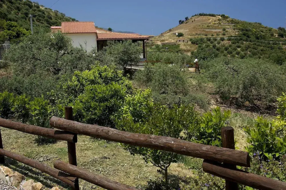 La Collina degli Ulivi - Casa Ulivi 1