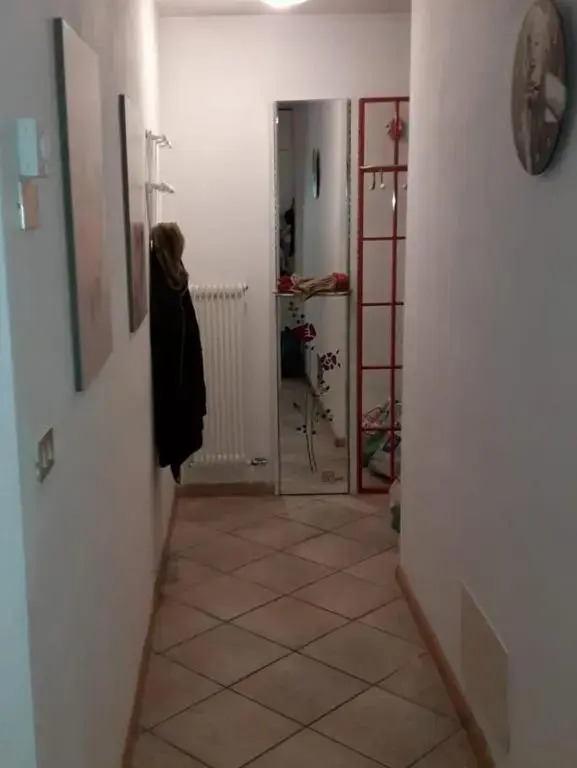 Le betulle - 022147-AT-050930