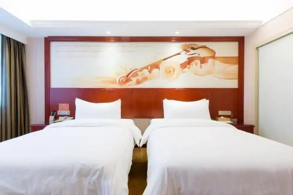 Vienna Hotel (Ji'an Railway Station)