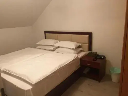 Hotel MUSE