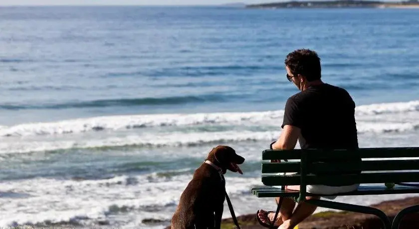 Bulli Beach Tourist Park