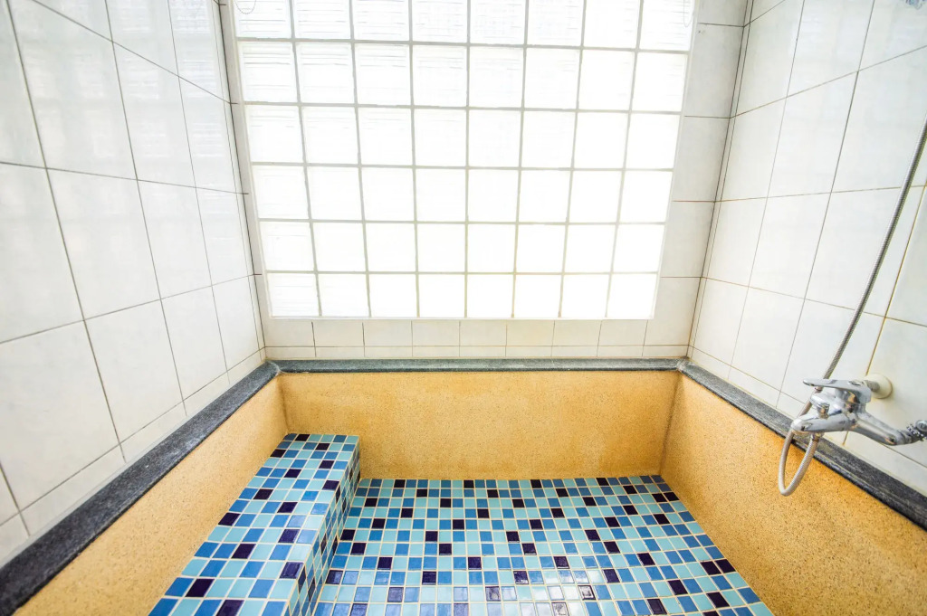 AOIKE Hot Spring Hotel