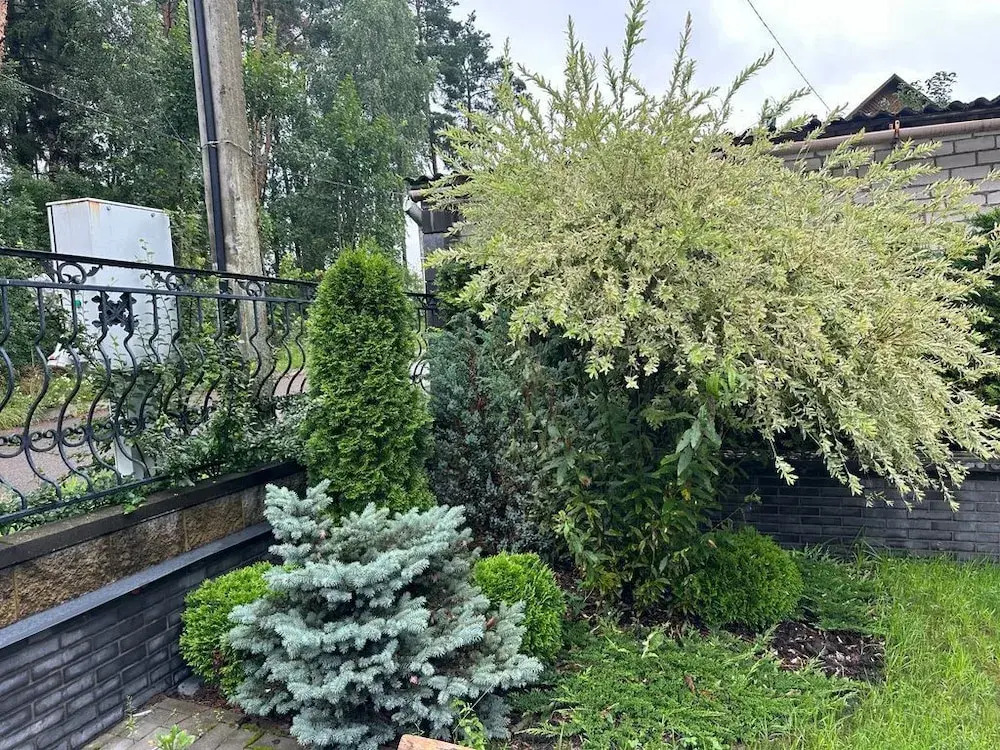 ForRest Cozy Apartments Minsk