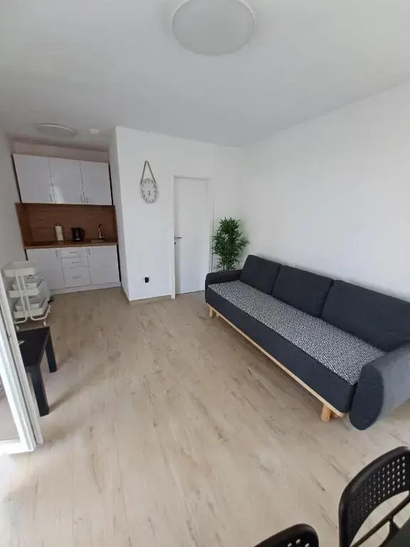 Apartments Sava