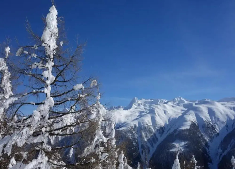 Family Stay in Aletsch Alps