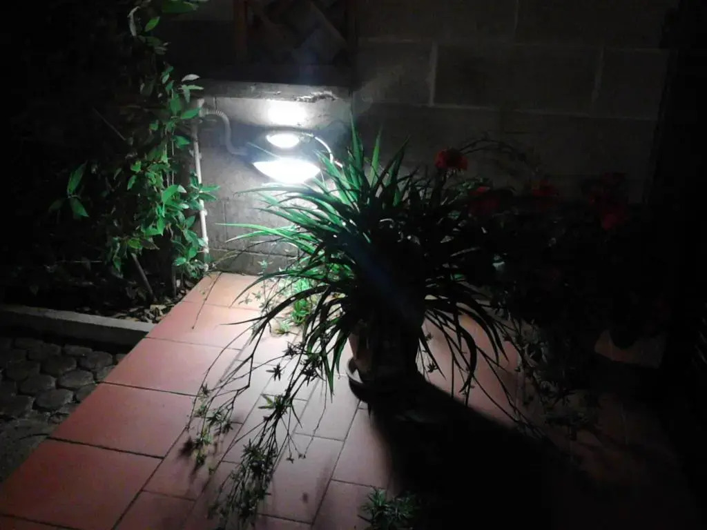 Bed And Breakfast Catherina