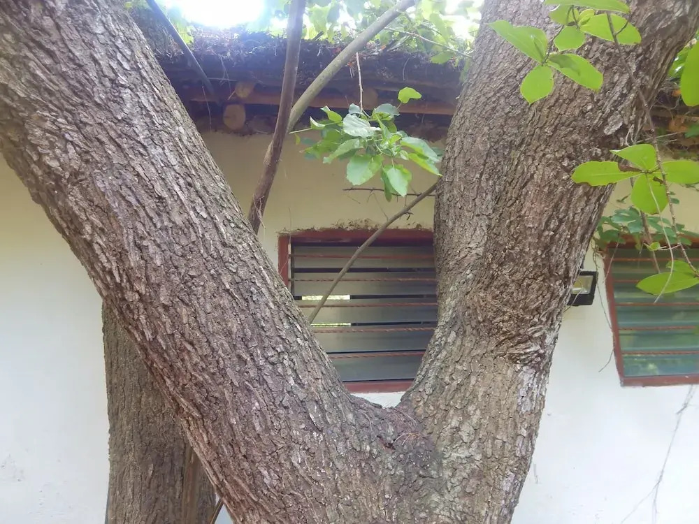 Kilifi Maghreb